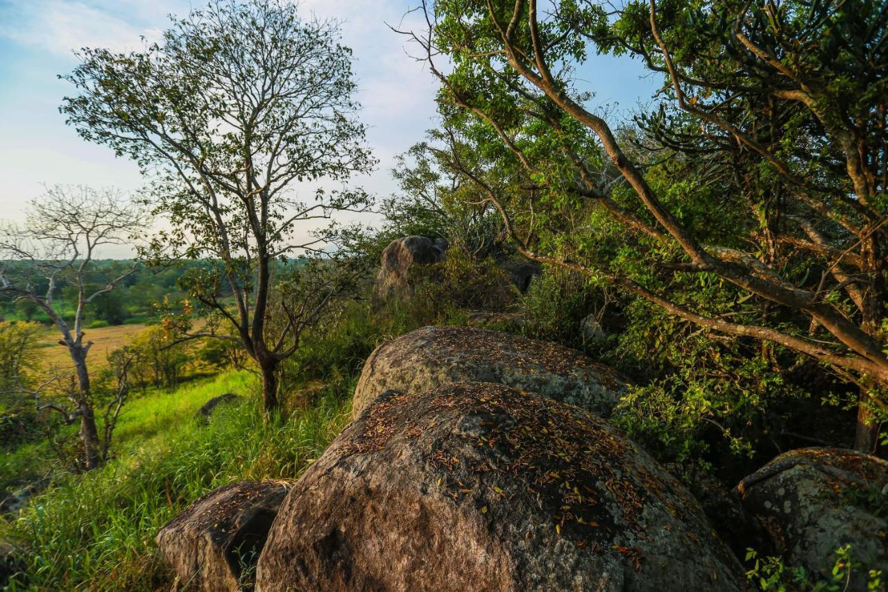 Kaveri Resort Sigirija Zewnętrze zdjęcie