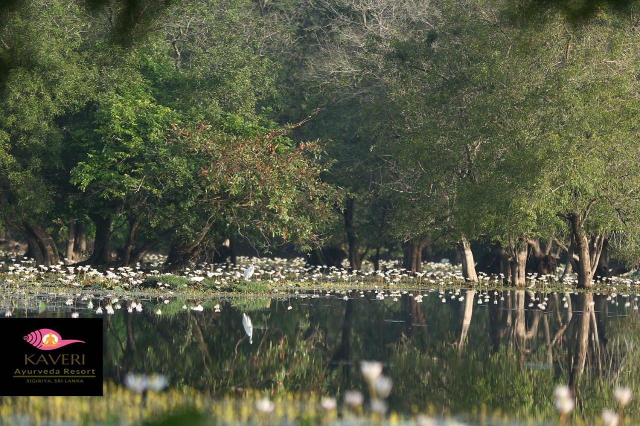 Kaveri Resort Sigirija Zewnętrze zdjęcie